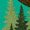 Kelly Green, variant on Inktastic Wasilla Alaska Moose Nature Scene Wilderness Boys or Girls Baby T-Shirt