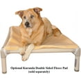 thumbnail image 3 of Kuranda Orthopedic Chewproof Elevated Pet Dog Bed, Large, Smoke, 3 of 4
