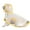 Yellow-M, variant on Pet Rain Rainwear Body Cover with Hat for Dog Rain-Proof Mud-Proof Raincoats for Walks and Outdoor Activity