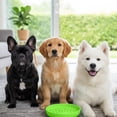 thumbnail image 5 of 2-in-1 Slow Feeder Lick Mat Bowl, Anti-Anxiety Interactive Puzzle Feeder, Durable Non-Slip Slow Eating Dish for Dog Cat Daily Mental Stimulation, 5 of 7