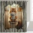 thumbnail image 3 of Funny Cat Shower Curtain, Rustic Wooden Animal Cute Cat Reading Newspaper on Toilet Bath Curtains Set, Humor Western West Farmhouse Fabric Bathroom Polyester Curtains with Hooks 70X70in, 3 of 5