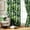 Green, variant on Vargottam Tropical Burst Design Blackout Curtains - Set of 2 Panels, 42 x 96 Inches Each - Light Blocking & Thermal Insulated Drapes with Grommet Top for Bedroom & Living Room - Gray