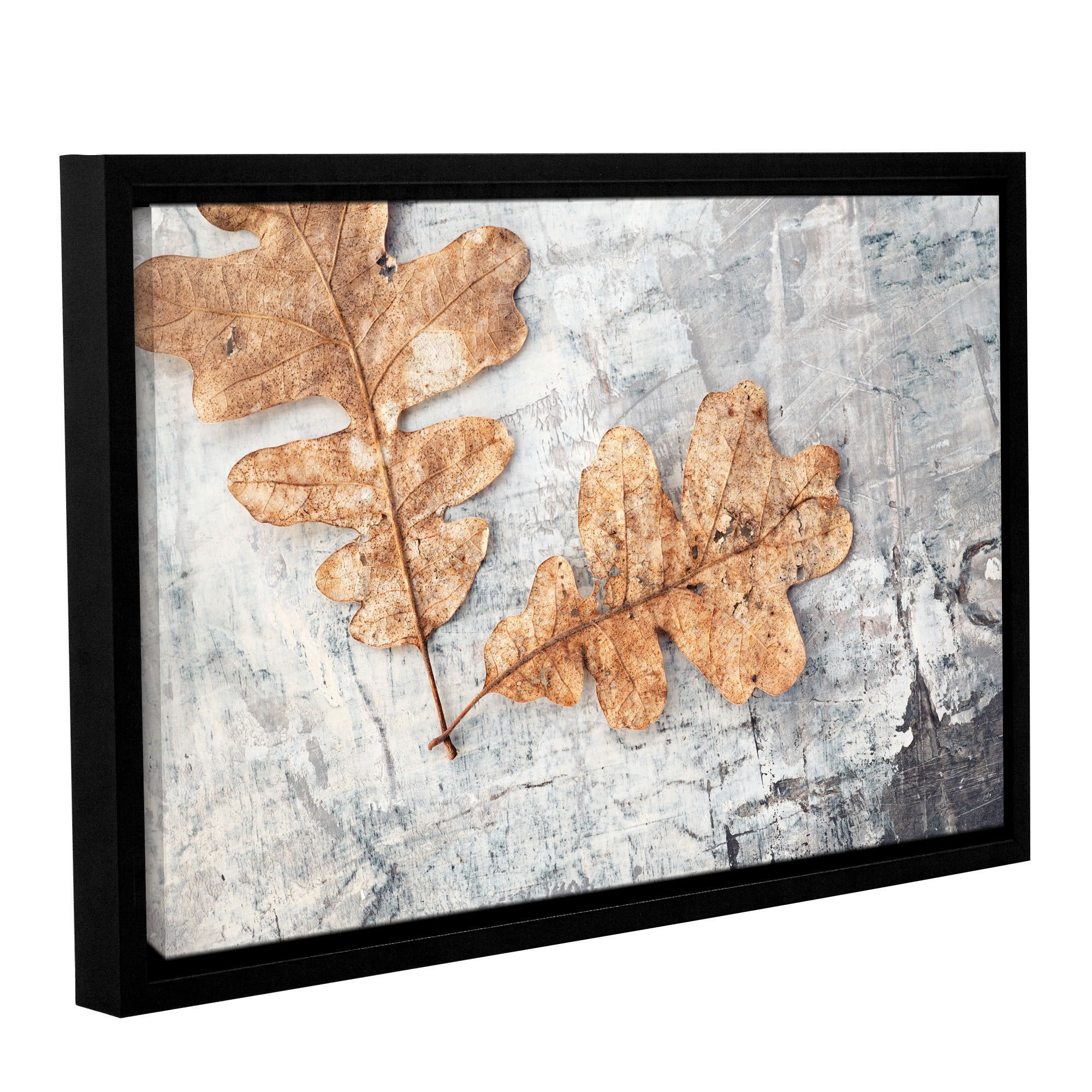ArtWall Elena Ray "Still Life Two Leaves" Gallery-Wrapped Floater-Framed Canvas
