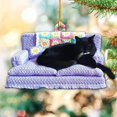 thumbnail image 4 of Adorno acrílico de gato negro para Navidad, divertido accesorio fotográfico para amantes de los gatos. Estilo C, 4 of 6