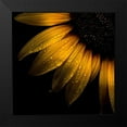 thumbnail image 2 of Carson, Brian 12x12 Black Modern Framed Museum Art Print Titled - Sunflower Detail, 2 of 5