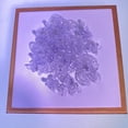 thumbnail image 5 of Hypoallergenic Soft Silicone Earring Backs - 200 Pieces, 5 of 7