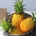 thumbnail image 2 of Frutas de artificiales Frutas artificiales realistas de plástico decorativas para jarrón de accesorios fotográficos Zulema Pantalla artificial de piña, 2 of 8