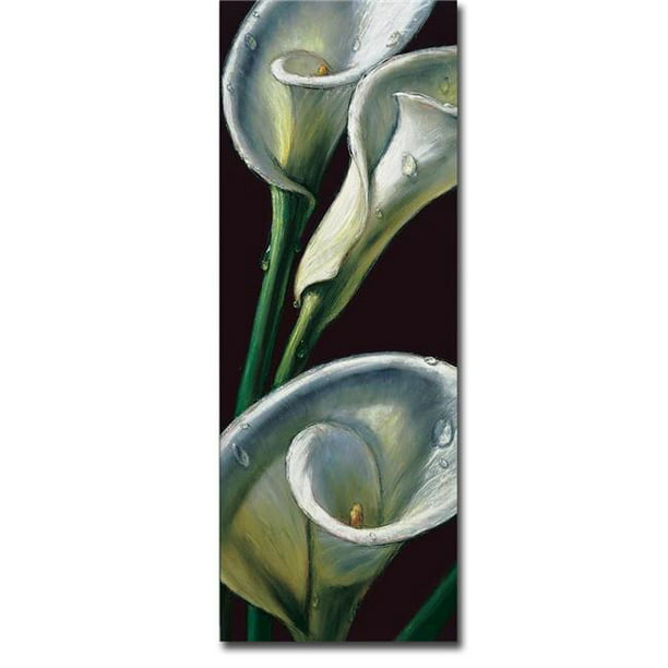 Dewdrop Callas by Almach Premium Giclée d'Art de Toile Enveloppée dans une Galerie - Prêt à Accrocher & 44; 24 x 12 Po.