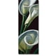 Dewdrop Callas by Almach Premium Giclée d'Art de Toile Enveloppée dans une Galerie - Prêt à Accrocher & 44; 24 x 12 Po. – image 1 sur 1