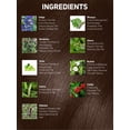 thumbnail image 6 of Vegetal Safe Hair Color - Dark Brown 100Gm - Certified Organic Chemical And Allergy Free Bio Natural Hair Color With No Ammonia Formula For Men And Women, 6 of 6