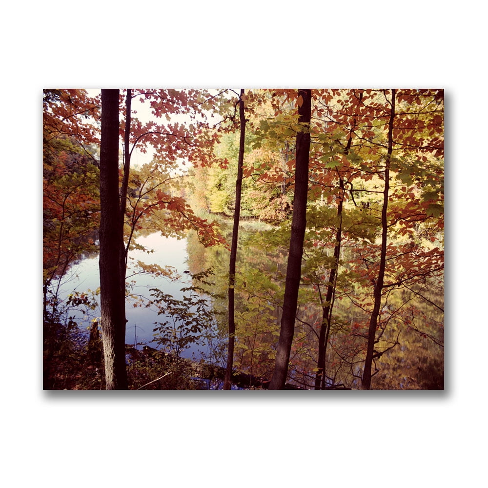 Trademark Art "A Secret Pond" Canvas Art by Kurt Shaffer