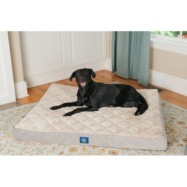 Serta XXL Ortho Quilted Pillow Top Pet Bed