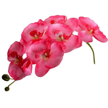 Imitation Orchids ZEDWELL Phalaenopsis Orchid Silk Real Touch Flower White Artificial Flower Wedding Flower Orchid For Christmas Party Wedding ()