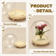 thumbnail image 3 of Cloche Glass Dome, 3.5" x 5" Glass Display Bell Jar, Glass Dome Cloche with Light Brown Base for DIY Flower Craft, 3 of 7