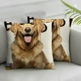 thumbnail image 2 of Nawypu  It's NOT Dog Hair - It's Golden Retriever Glitter Throw Pillow Cover Golden Retrievr Dog Decor, Funny Pillowcase, Gift for Dog Lovers, Sofa Bed Living Room Home Decoration, 2pc, 2 of 6