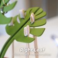 thumbnail image 2 of Monstera Topeador Dientes Mirador Soporte Cepillo Multifuncional, 2 of 8