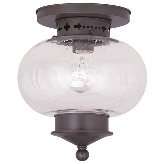 1 Light Bronze Ceiling Light fixture with Hand Blown Seeded Glass Shade
