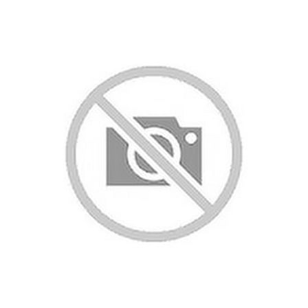 WWE Chyna Vs Trish Stratus Championship Showdown 2-Pack Action Figures