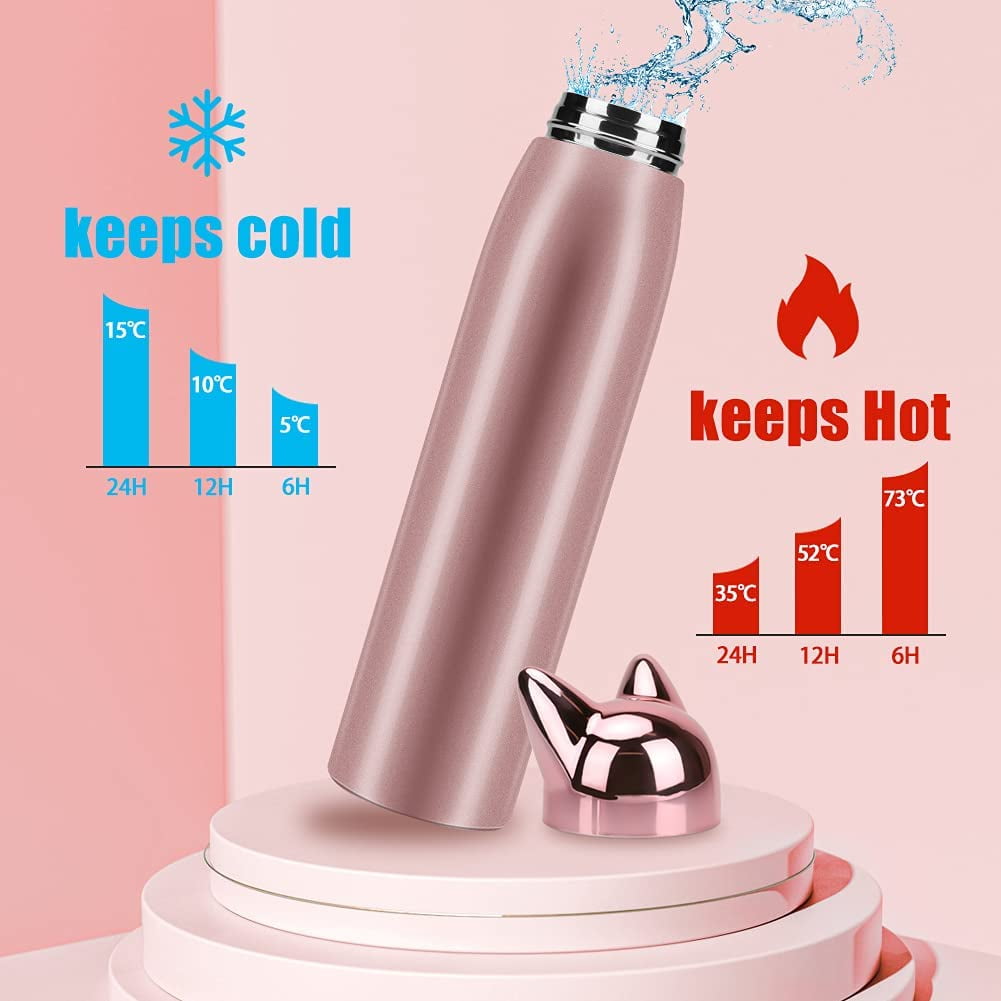 Cute Cat Water Bottle, Jhua Stainless Steel Insulated Water Bottles Vacuum  Travel Coffee Mug for Kids Girls Women Leak-proof Cat Insulated Water
