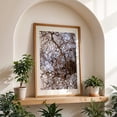 thumbnail image 4 of Untitled - Portland Oregon Photography Abstract Nature Botanical Woodland Woods Scenic Minimalist Oak Framed Wall Art Print 12 x 18 inches, 4 of 59