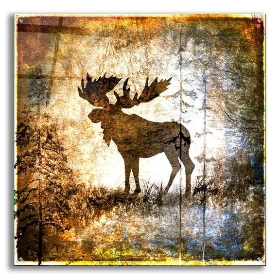 Epic Art 'High Country Moose' by Lightbox Journal, Acrylic Glass Wall Art, 36"x36"