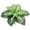D, variant on Artificial Wide Leaf Greenery Plants, Faux Green Leaf Plants and Bushes for Indoor and Outdoor Wall Decor, Home, Garden, Wedding Arch, and Home Office Decoration