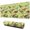 LightGreen Cartoon Dinosaurs, variant on Long Mouse Pads for Desk,LightGreen Cartoon Dinosaurs Prehistoric Desk Mats on Top Of Desks, Desk Mouse Pad Extra Large with 3mm Non-Slip Base and Stitched Edge for Gaming,Work,Home 31.5"x11.8"