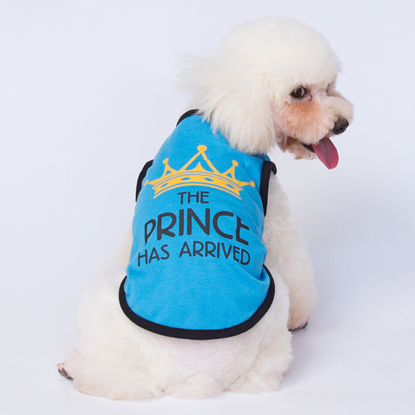 Mosey Cute Dog Vest Nonshrink for Travel Casual Wear