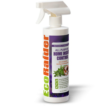 EcoRaider All Purpose Home Insect Control 16 OZ, Fast Kill & Lasting Prevention, Natural & (Best Way Kill Mice Fast)