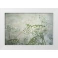 thumbnail image 1 of Poinski, Dianne 14x11 White Modern Wood Framed Museum Art Print Titled - Delicate Lace II, 1 of 4