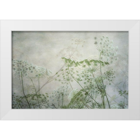 Poinski, Dianne 14x11 White Modern Wood Framed Museum Art Print Titled - Delicate Lace II