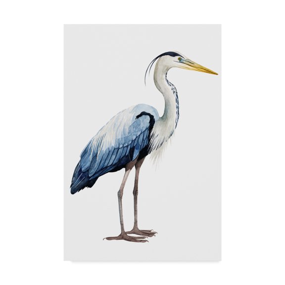 Trademark Fine Art 'Seabird Heron II' Canvas Art by Grace Popp