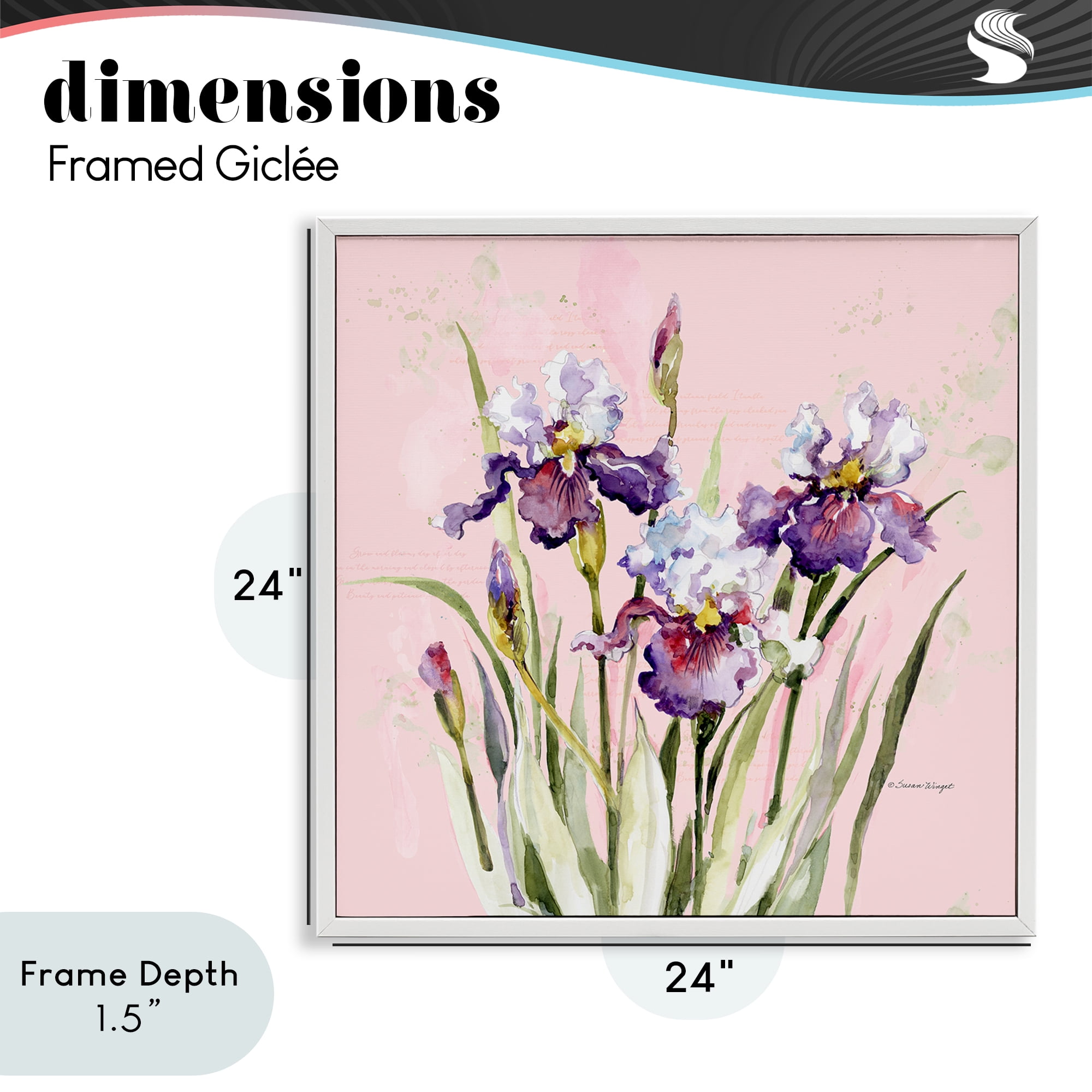 Stupell Industries Purple Irises on Pink White Framed Giclee Art, design by Susan Winget
