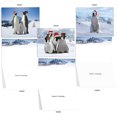 thumbnail image 3 of Penguins and Greetings - 20 Boxed Season's Greetings Cards with Envelopes (4 x 5.12 Inch) - Cute Family Christmas Cards for Kids - Assorted Notecard Set (2 Cards of 10 Designs) AM2951SGG-B2x10, 3 of 8