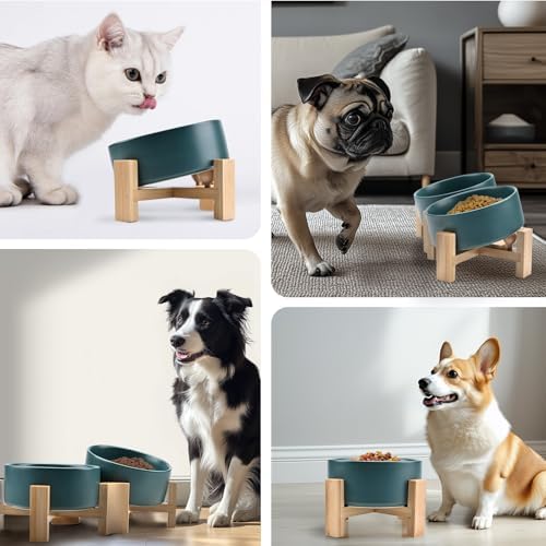 15° Slanted Ceramic Dog and Cat Bowl with Wooden Stand, Tilted Bulldog Food and Water Bowl No Slip Non-Spill for Cats Medium Dogs Big Face Pets 13.5 OZ (1.7 Cups, Green × 2)