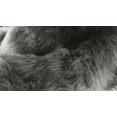thumbnail image 3 of H-LUXE Hudson Faux Fur 5'X8' Rug, 3 of 4