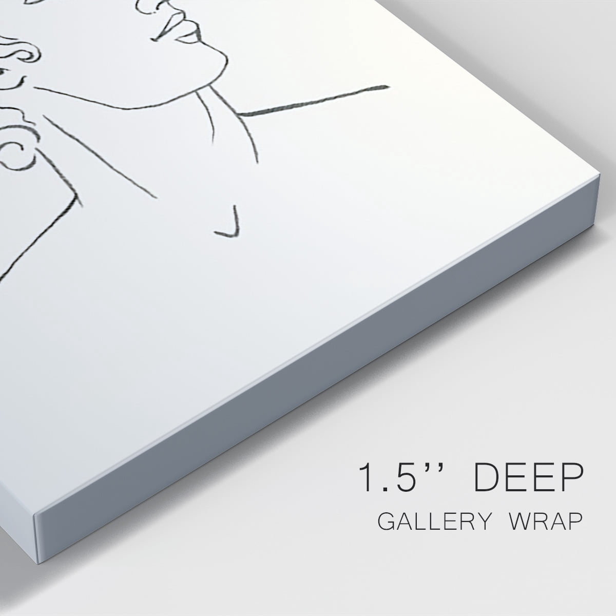 Greek Busts I Premium Gallery Wrapped Canvas - Ready to Hang