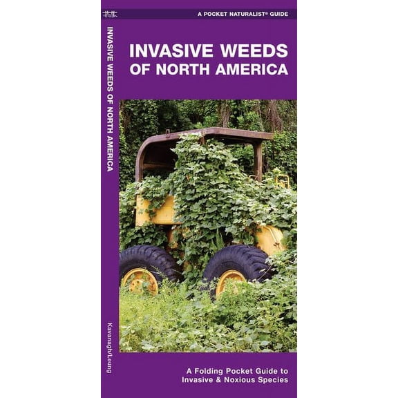 Wildlife and Nature Identification: Invasive Weeds of North America : A Folding Pocket Guide to Invasive & Noxious Species (Other)
