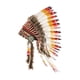 thumbnail image 1 of Tocados de plumas de inspiración india: accesorios fotográficos para fiestas de baile y burlesque., 1 of 6