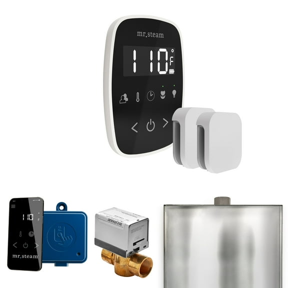 Mr Steam ButlerFlex Max Steam Shower Ctrl Pkg w/TempoFlex Control and Steamhead in Black White