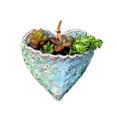 thumbnail image 1 of Pot Succulent en Forme de Coeur Créatif Élégant Design Pot de Jardinière en Résine pour l'Intérieur et l'Extérieur, 1 of 4