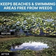 thumbnail image 2 of Jenlis Weed Razer Express - Aquatic Weed Cutter for Lakes, Ponds & Beaches, 2 of 9