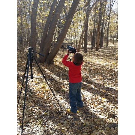 Canvas Print Boy Tripod Learn Light Photography Trees Camera Stretched Canvas 10 x