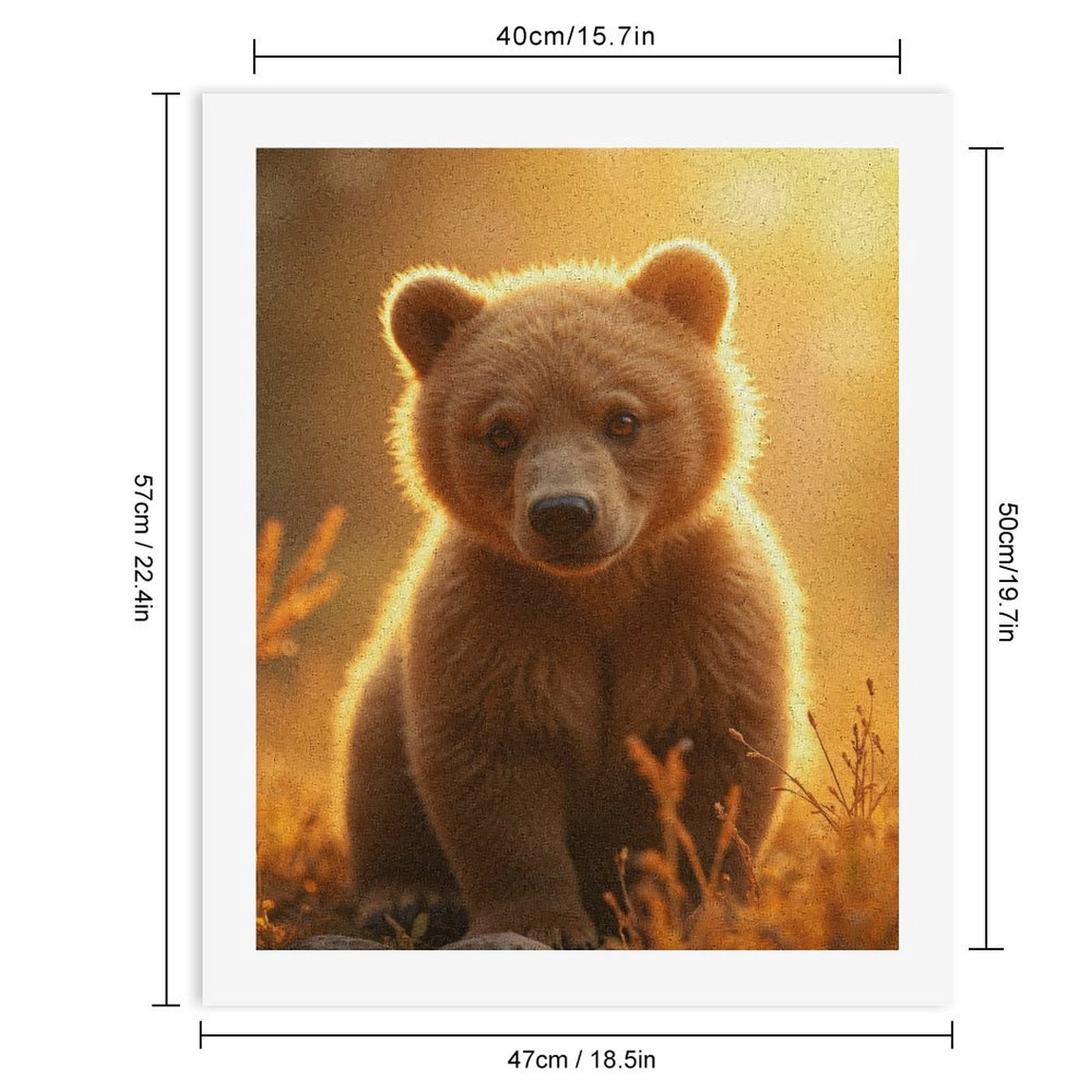 Paint by Numbers Kit for Adults, Golden Sunrise Bear Cub Paint by Numbers, Easy Paint by Numbers Kit for Adults Beginner, DIY Adult Paint by Number Kits on Canvas, Home Decor