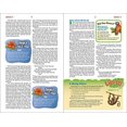 thumbnail image 3 of NIrV, Adventure Bible for Early Readers, Hardcover, Full Color, Magnetic Closure, Lion, 3 of 4
