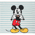 thumbnail image 5 of Disney Kitchen Towels 2-Pack Mickey Friends Blue Stripe Cotton Terry 15"x26", 5 of 7