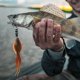 thumbnail image 3 of 10 unids/lote Artificial 13,5 cm cebo blando de pesca accesorio de Señuelos de Pesca similares a peces (marrón oscuro), 3 of 8