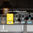 thumbnail image 4 of Bulbrite 8.5 Watt Dimmable Clear ST18 LED Light Bulbs 2700K Warm White Light 2/Pack (861422), 4 of 7