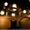 thumbnail image 4 of C9 Commercial String Lights with White Wire and G50 LED 0.6 Watt Warm White Bulbs, 4 of 6