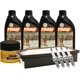 thumbnail image 1 of Kit De Afinación Con Aceite 10W30 Sintético, Bujías Iridio, Filtro De Aire Y Filtro Para Aceite Sintético 10 Piezas Compatible con Kia Soul L4 2.0L DE 2012 A 2016, 1 of 1